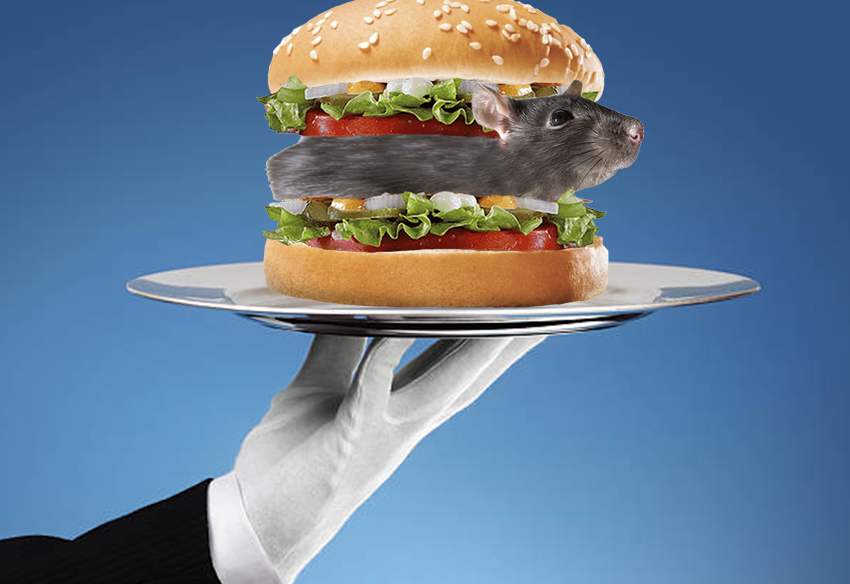 Rat Sandwich Platter